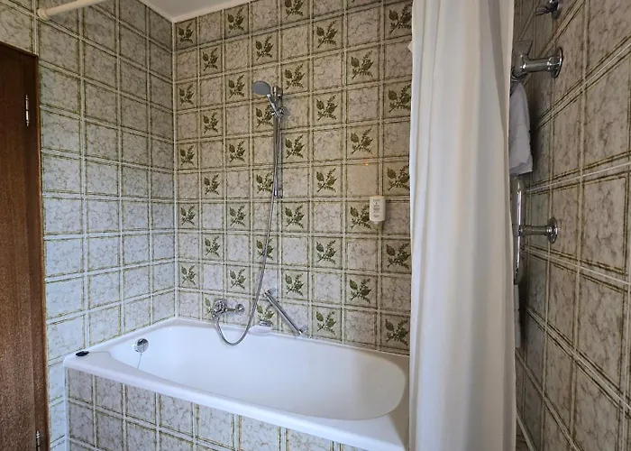 Alpina Hotel 3*