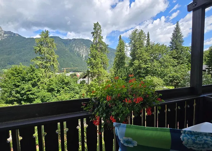 Hotel Alpina 3*